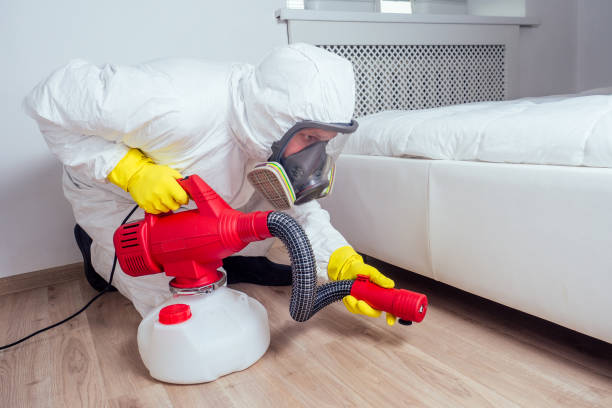 Best Termite Control Services  in St Marys, GA