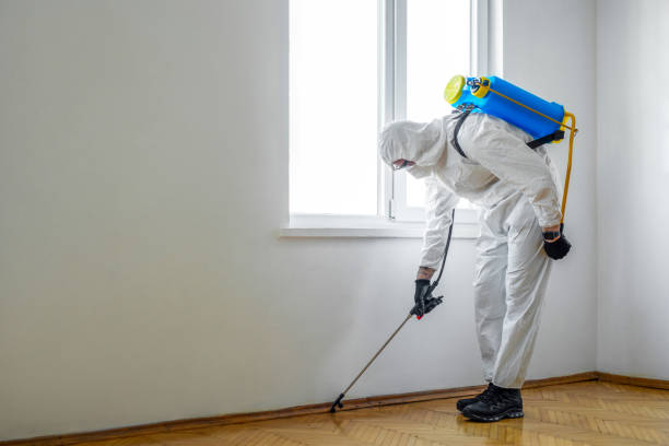 Best Wildlife Control Services  in St Marys, GA