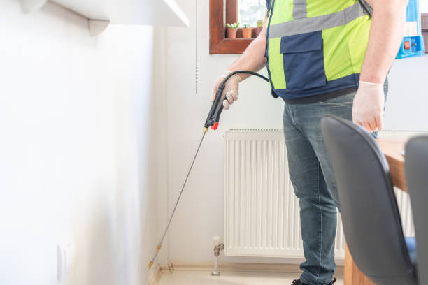Best Pest Inspection Near Me  in St Marys, GA