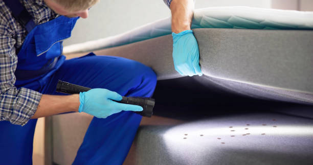Pest Control Cost in St Marys, GA