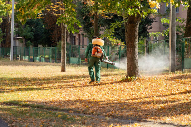 Best Local Pest Control Services  in St Marys, GA