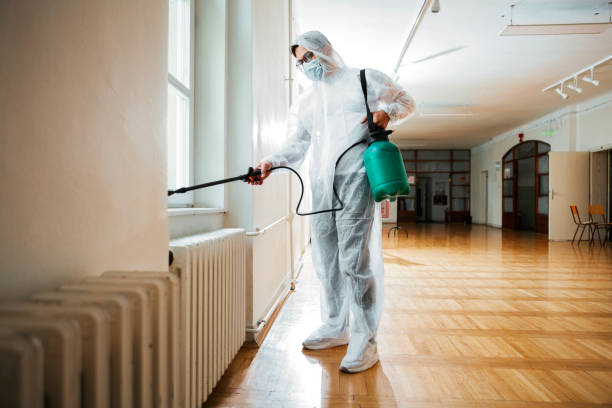 Best Best Pest Control Companies  in St Marys, GA