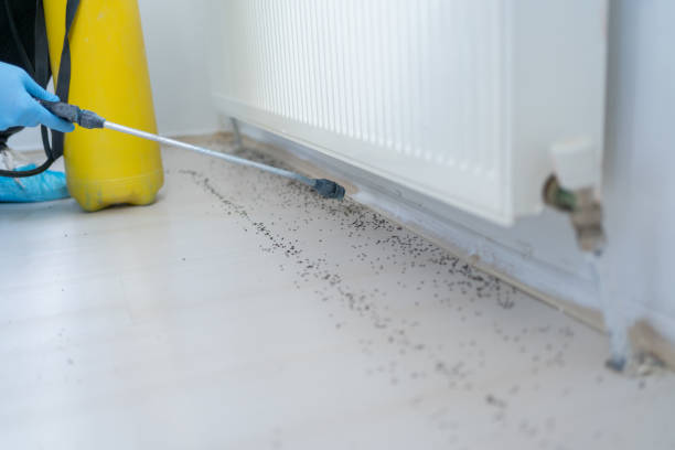 Best Pest Prevention Services  in St Marys, GA